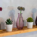 In Barberia Milis-Cozy Corner Lägenhet *